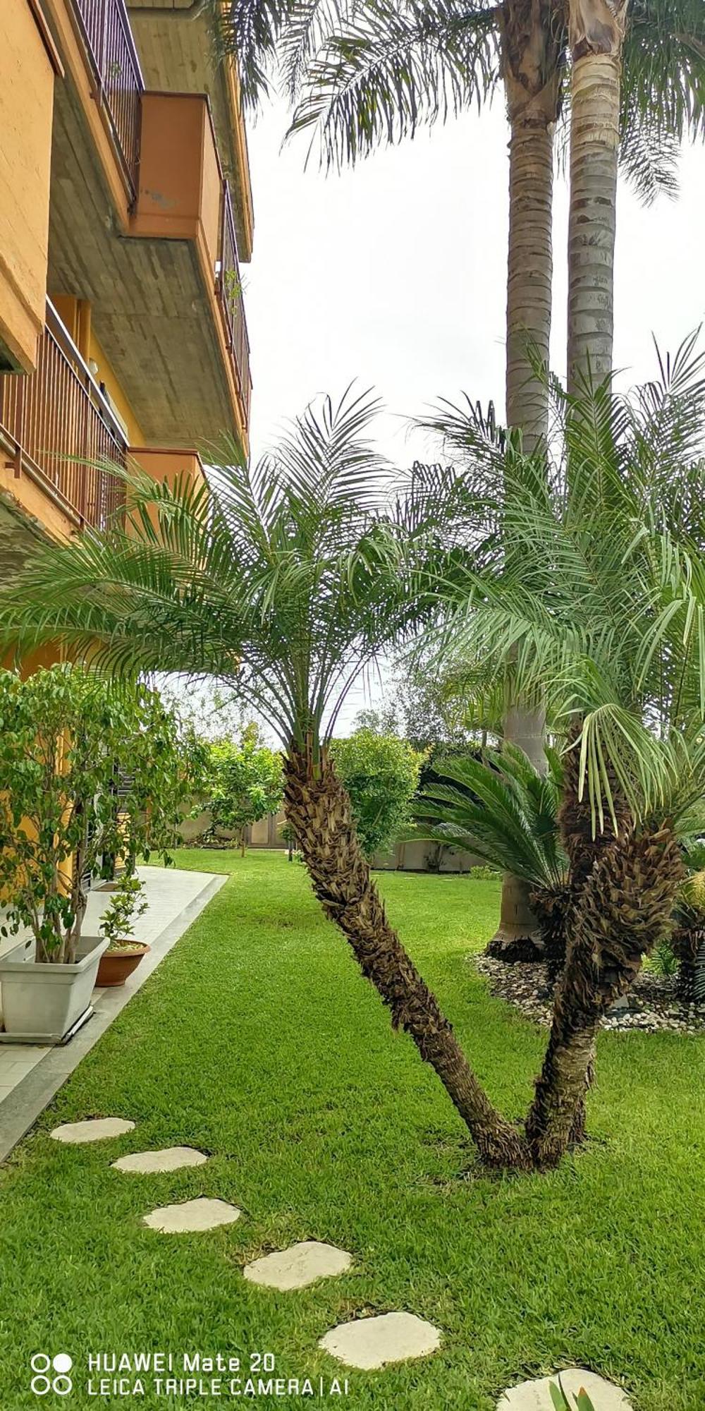 Maresole Tra L'Etna E Taormina Apartment Mascali Ngoại thất bức ảnh