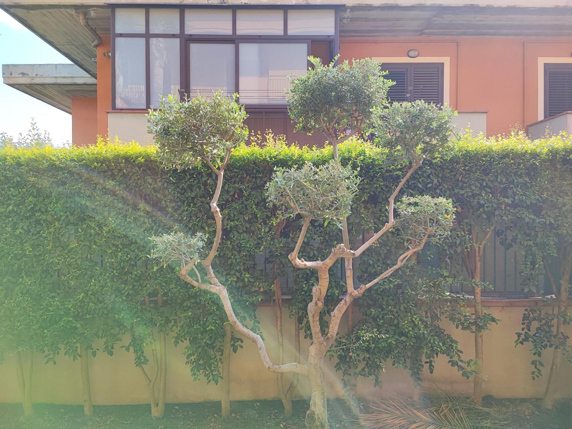 Maresole Tra L'Etna E Taormina Apartment Mascali Ngoại thất bức ảnh